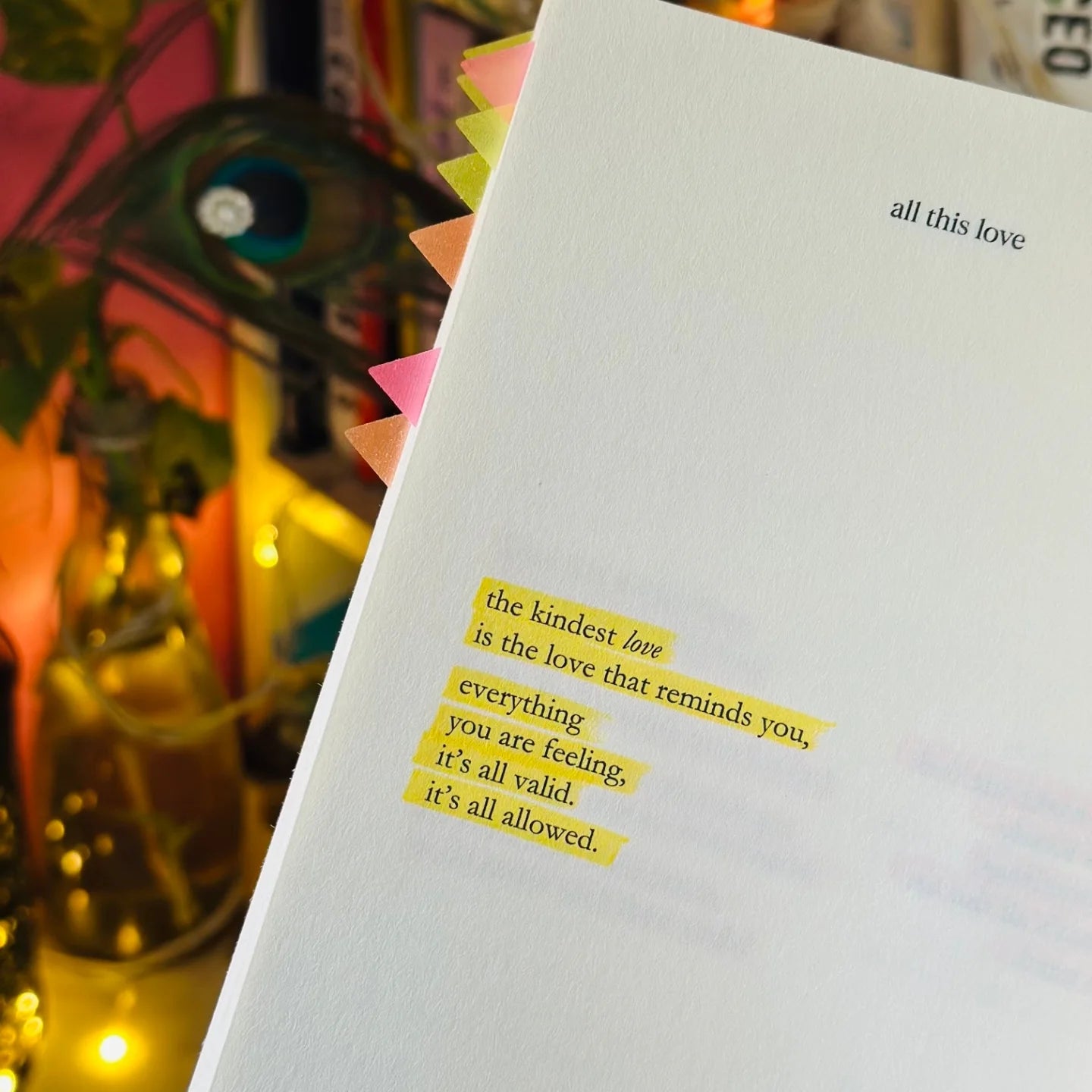 All This Love - Poetry Book - SIGNED EDITION